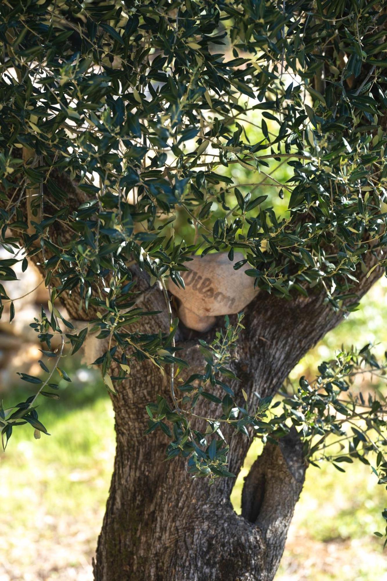 Villa Mia Filomena Sevid Bagian luar foto
